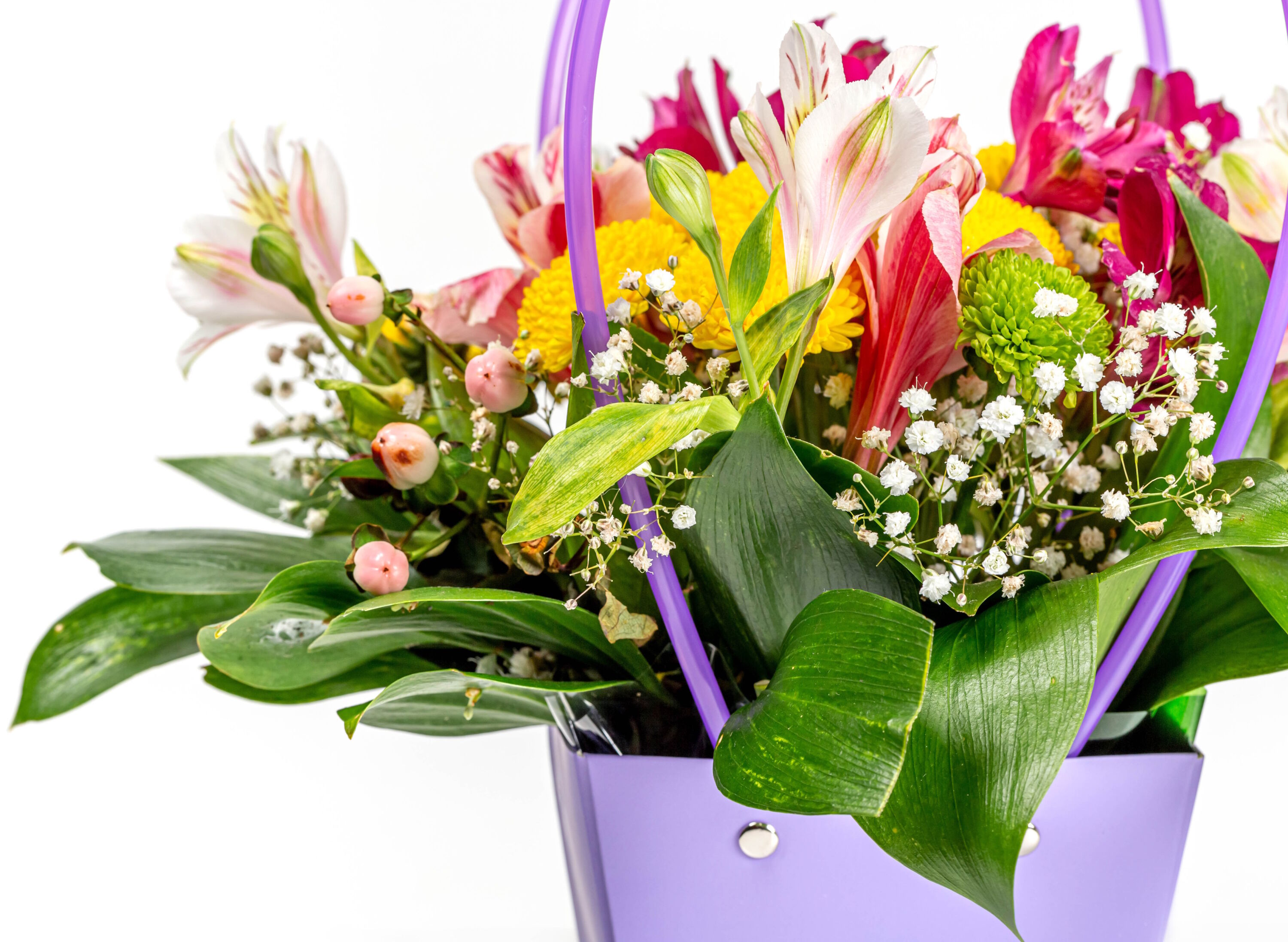 Альстромерия и листья