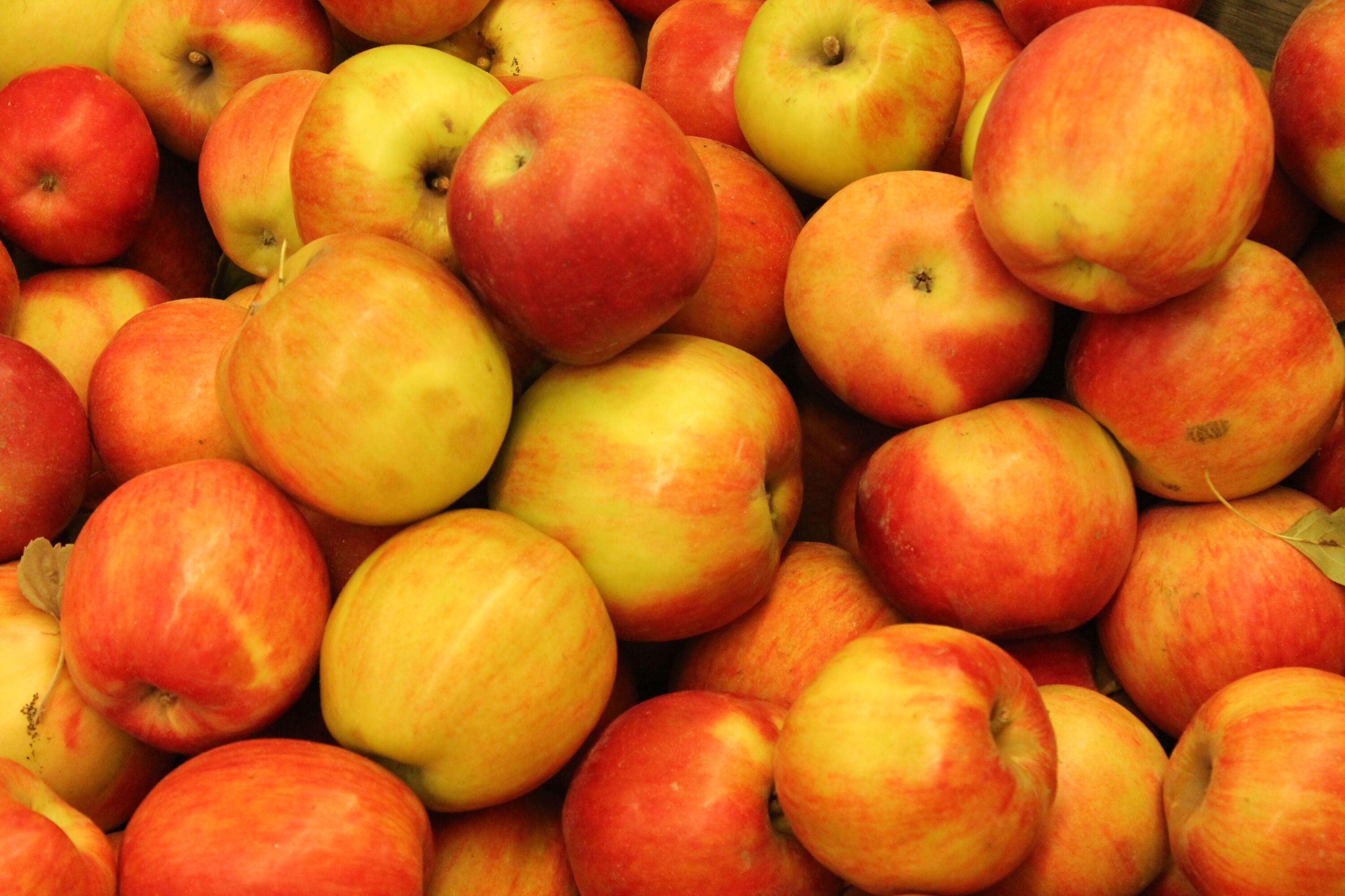 Красные сочные яблоки