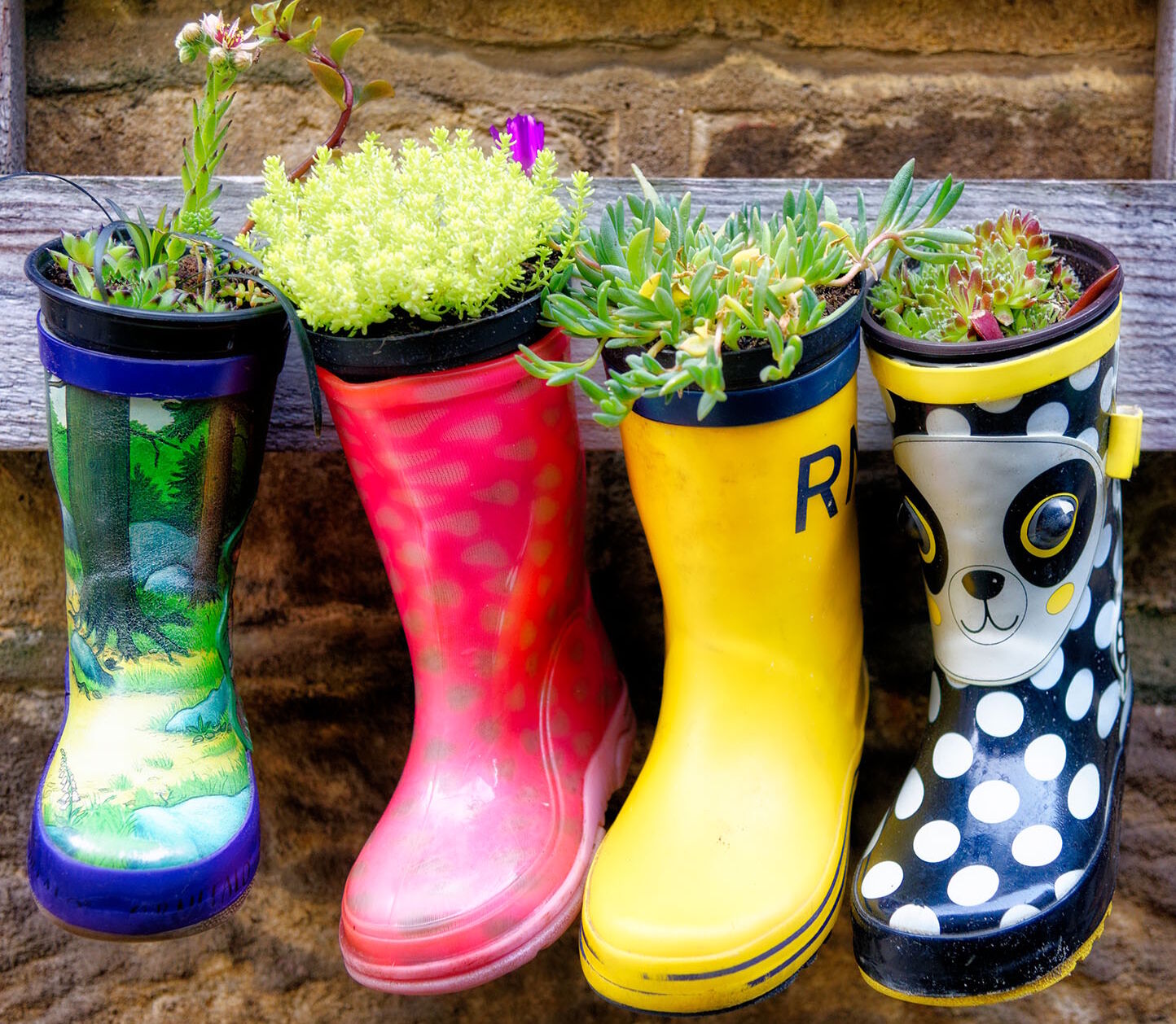 Цветы в сапогах