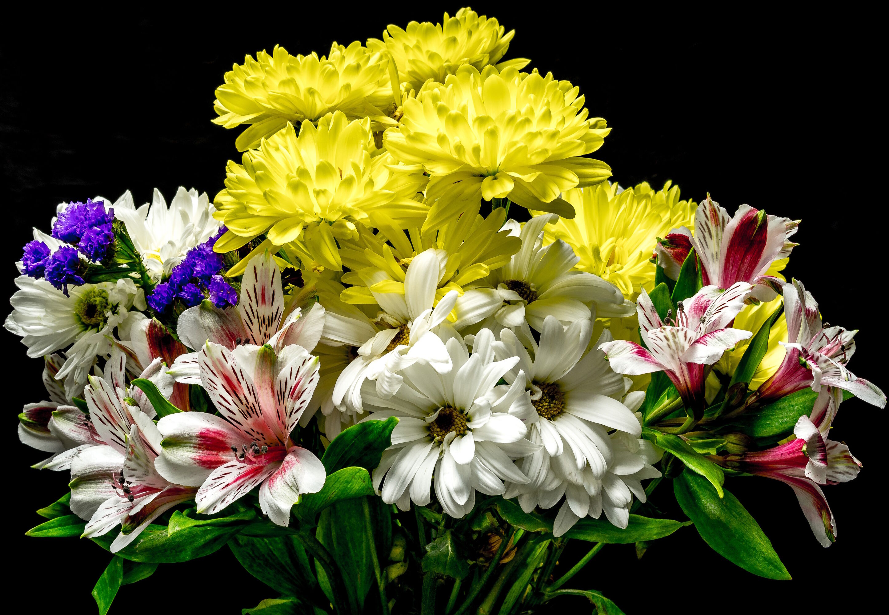 Хризантемы и альстрёмерия