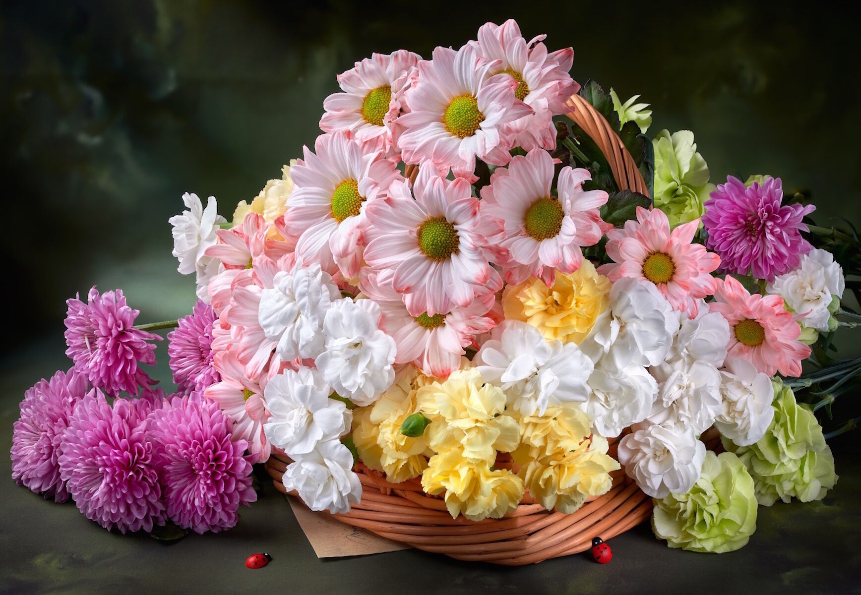 Нежные цветы и божьи коровки