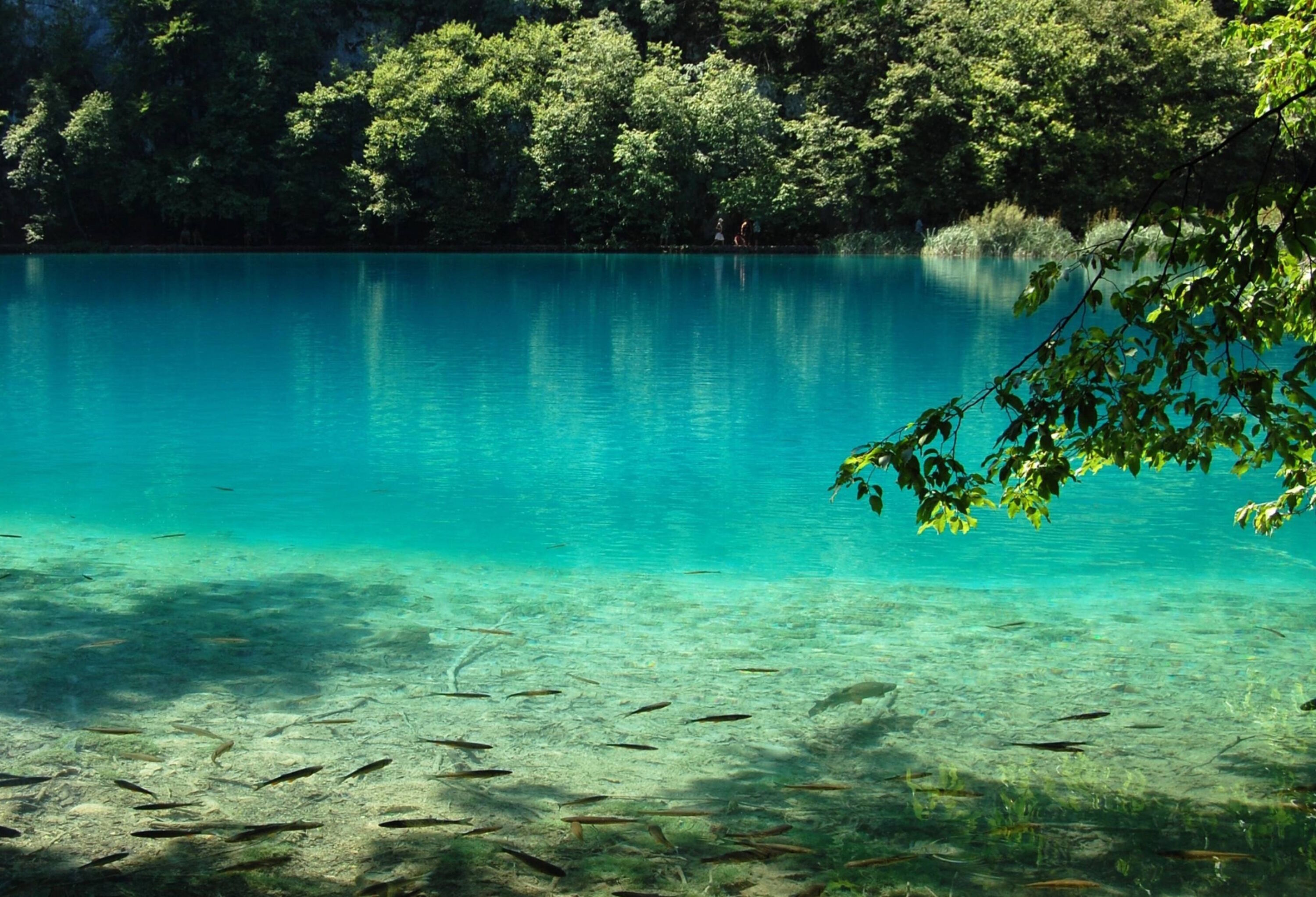 Рыбное озеро