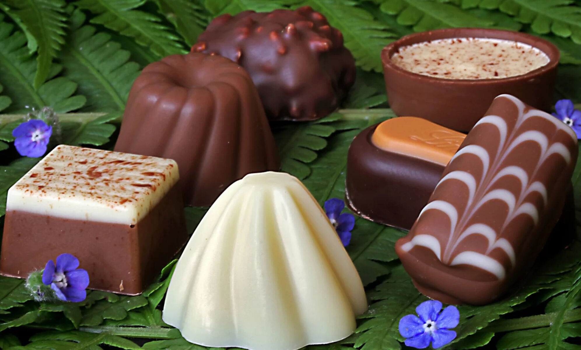 Шоколадные конфеты ассорти