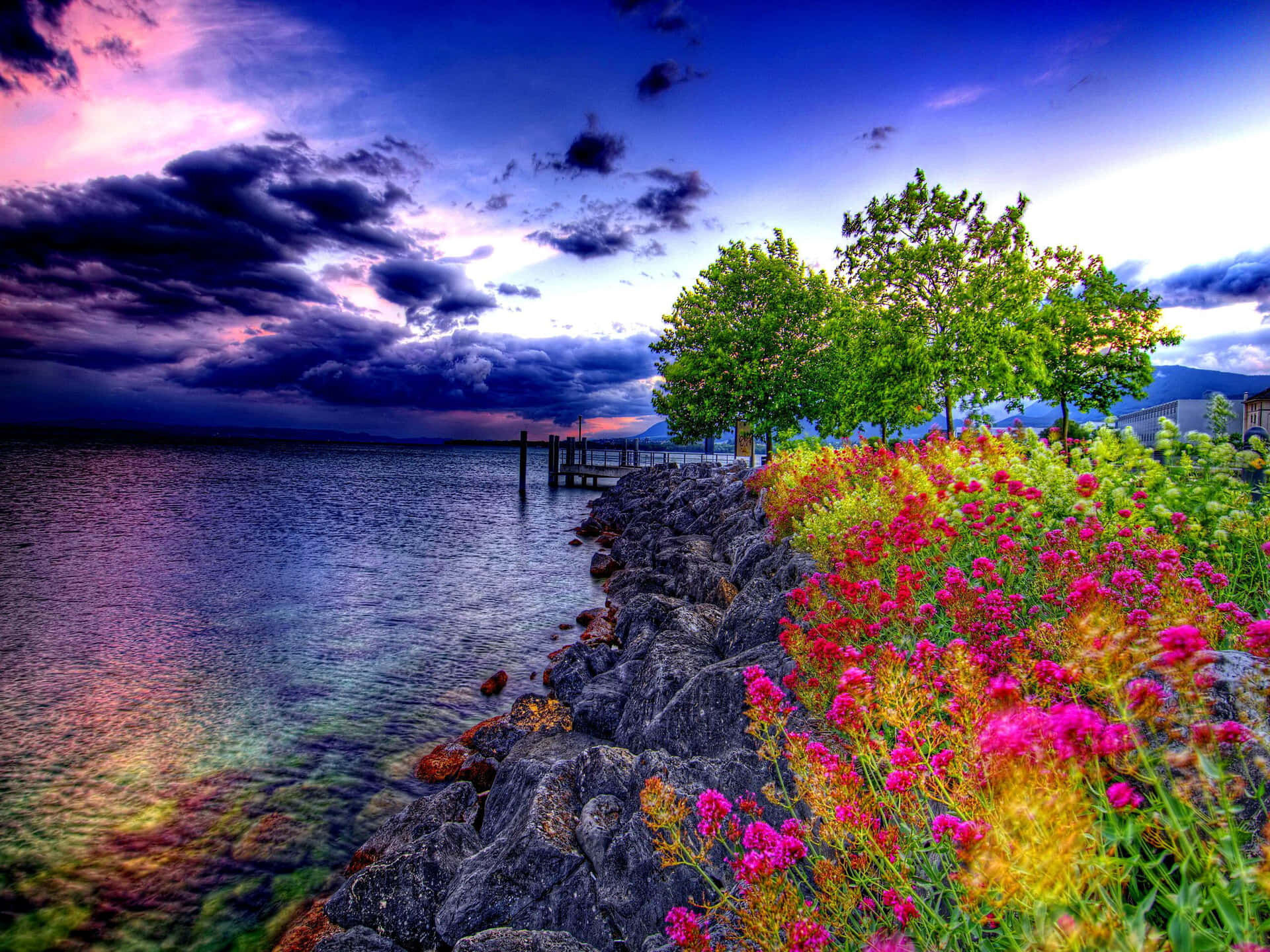 Цветочный берег