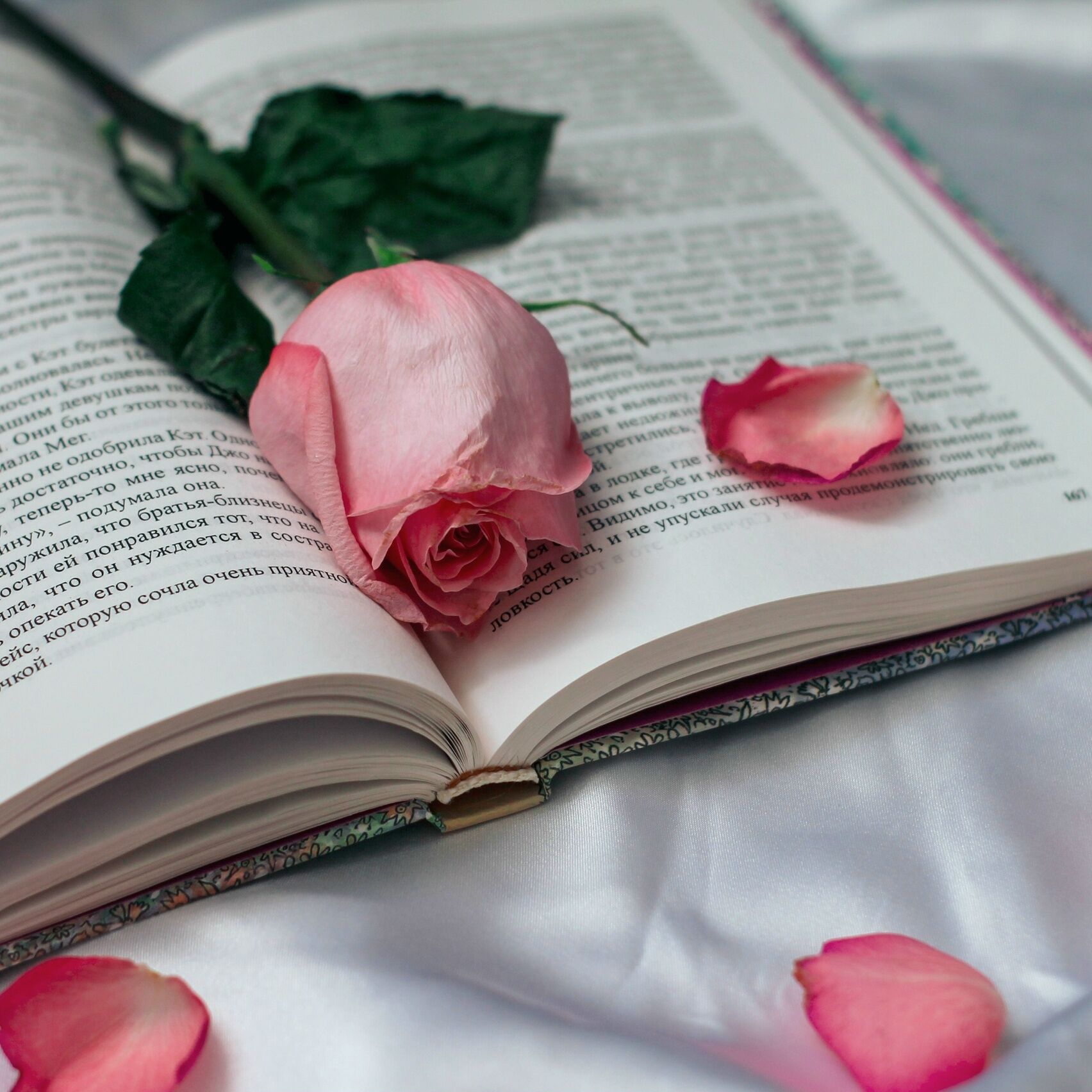 Роза на книге