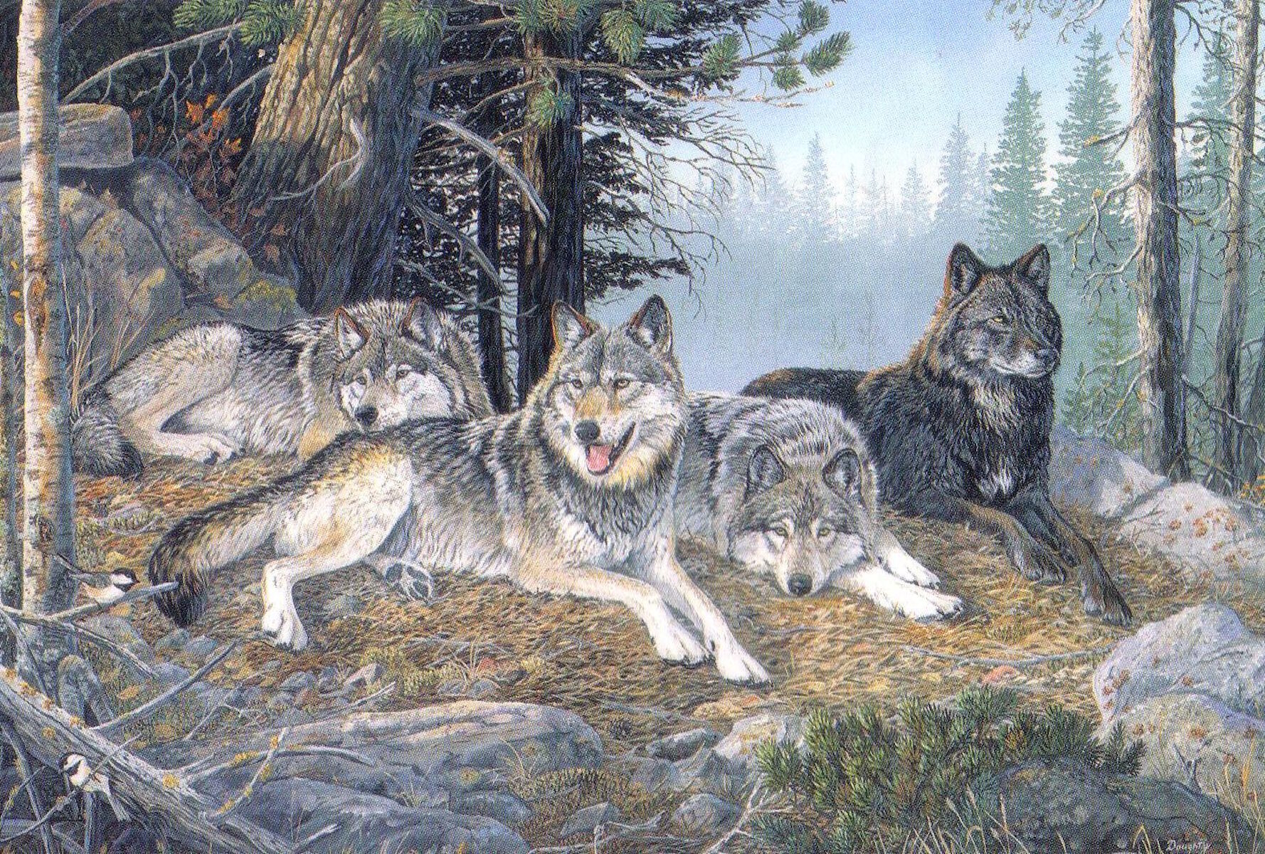 Волчья семья