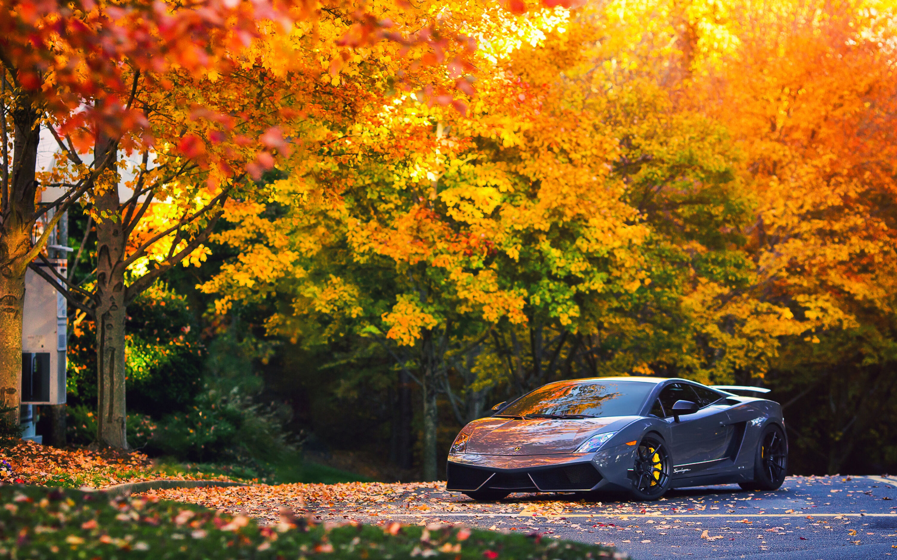 Lamborghini Gallardo