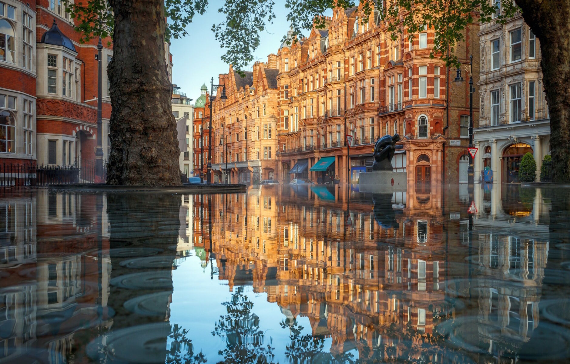 Отражение домов и деревьев