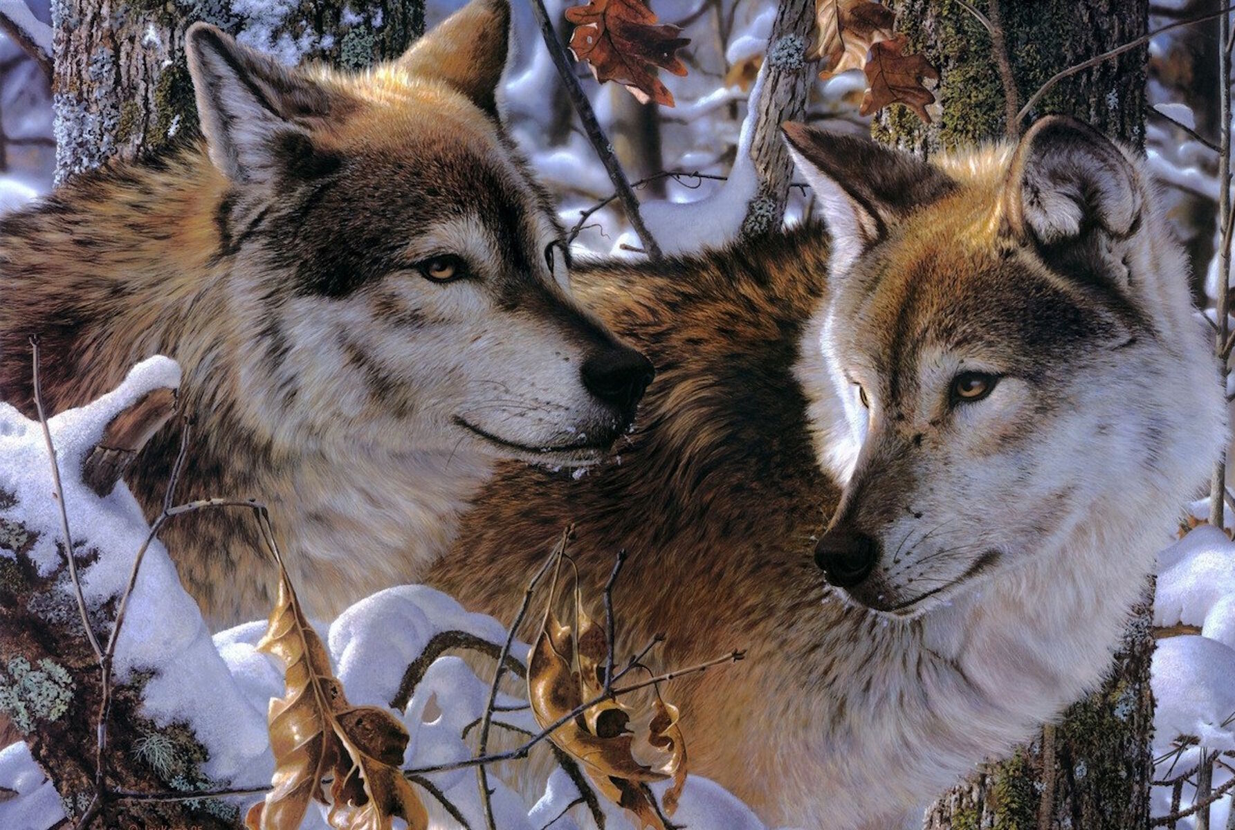 Лесные милые волки