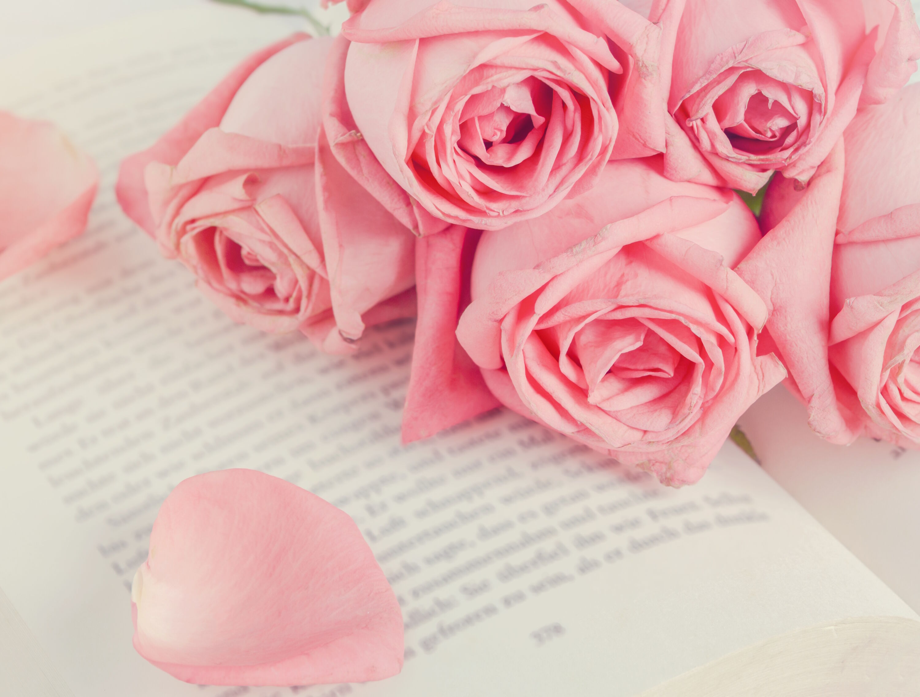 Розы на книге