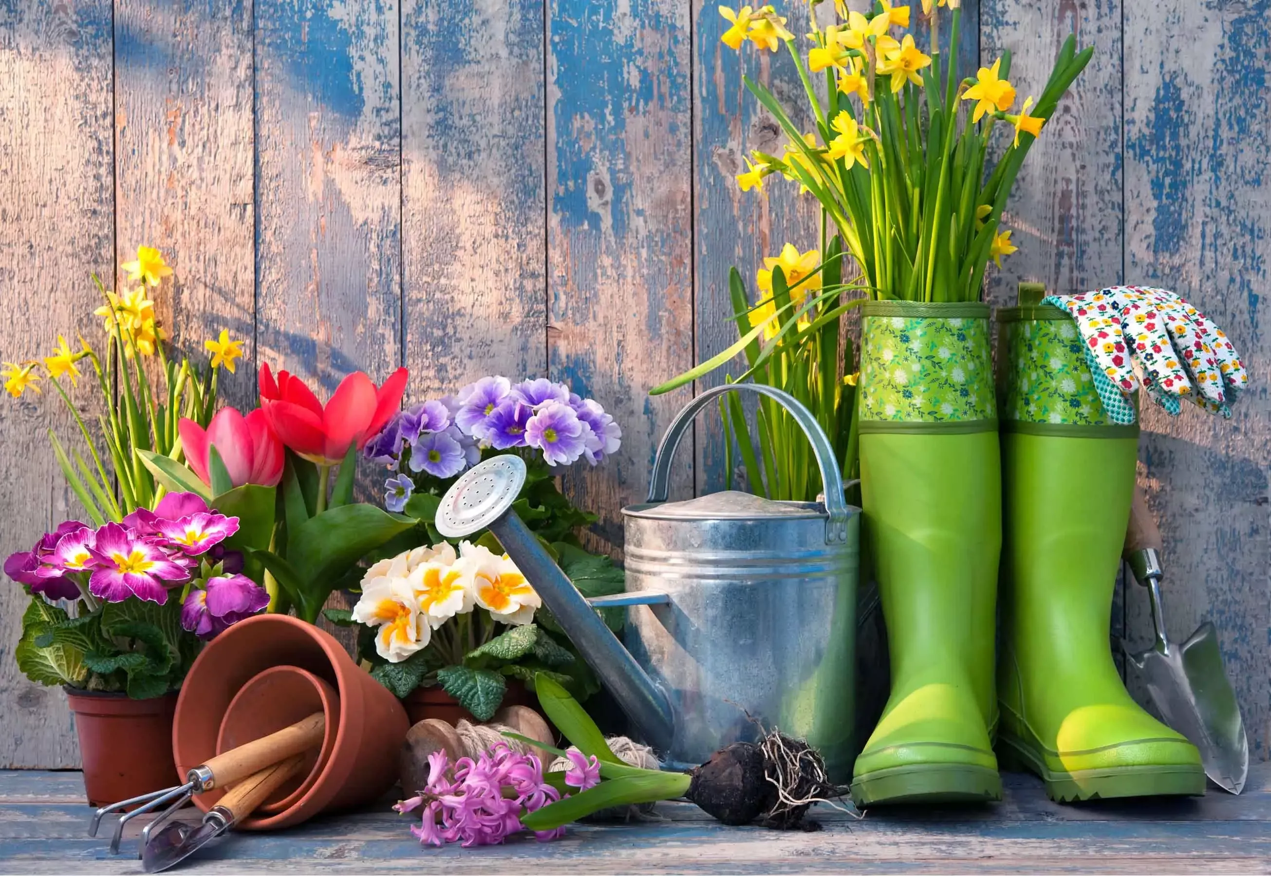 Набор садовника