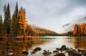 Тихо осенью на озере