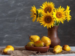 Подсолнухи и груши