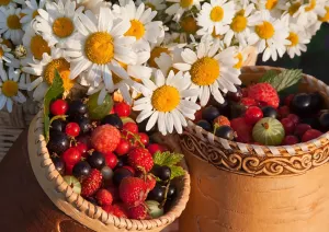 Ромашки и ягоды в лукошках