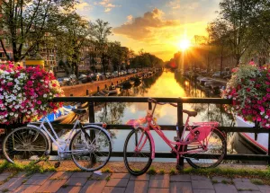 Два велосипеда