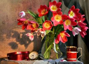 Открытые тюльпаны