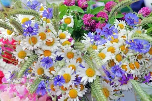 Летняя цветочная композиция