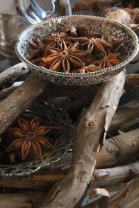 Приправа бадьян