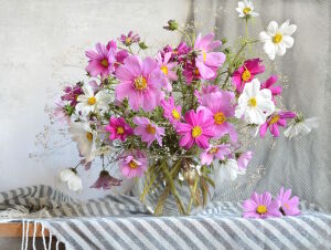 Космея в стеклянной вазе