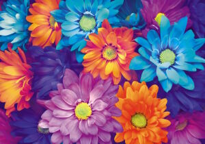 Приглушенные цветы