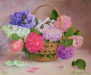 Разноцветные гортензии в корзинке