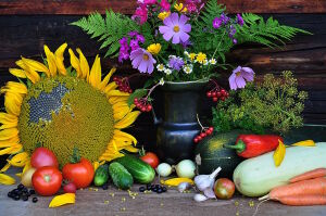 Подсолнух и овощи