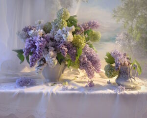 Гортензии и сирень