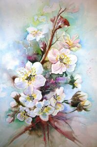 Цветущая яблоня акварелью