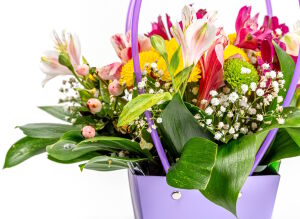 Альстромерия и листья