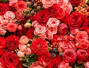 Цветы красного цвета