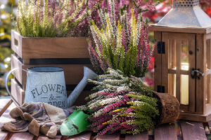 Цветочки и лейка