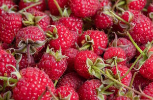 Малина с листиками