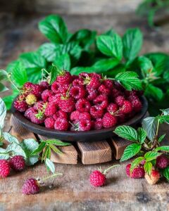 Малина на тарелке