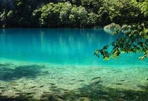 Рыбное озеро