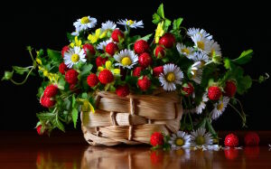 Земляника и цветочки