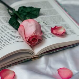 Роза на книге
