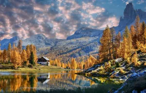 Золотые деревья в горах