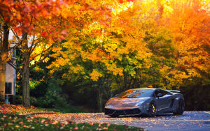 Lamborghini Gallardo
