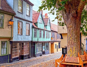 Норидж дома