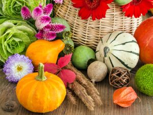 Декоративные тыковки и цветы