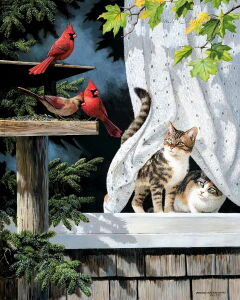 Кошки наблюдают за птицами