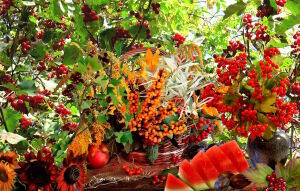 Разные ягоды и арбуз