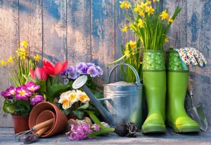 Набор садовника