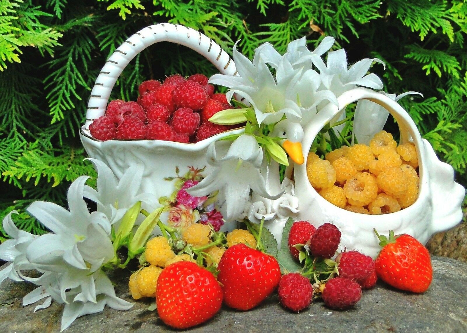 Лилии и малина