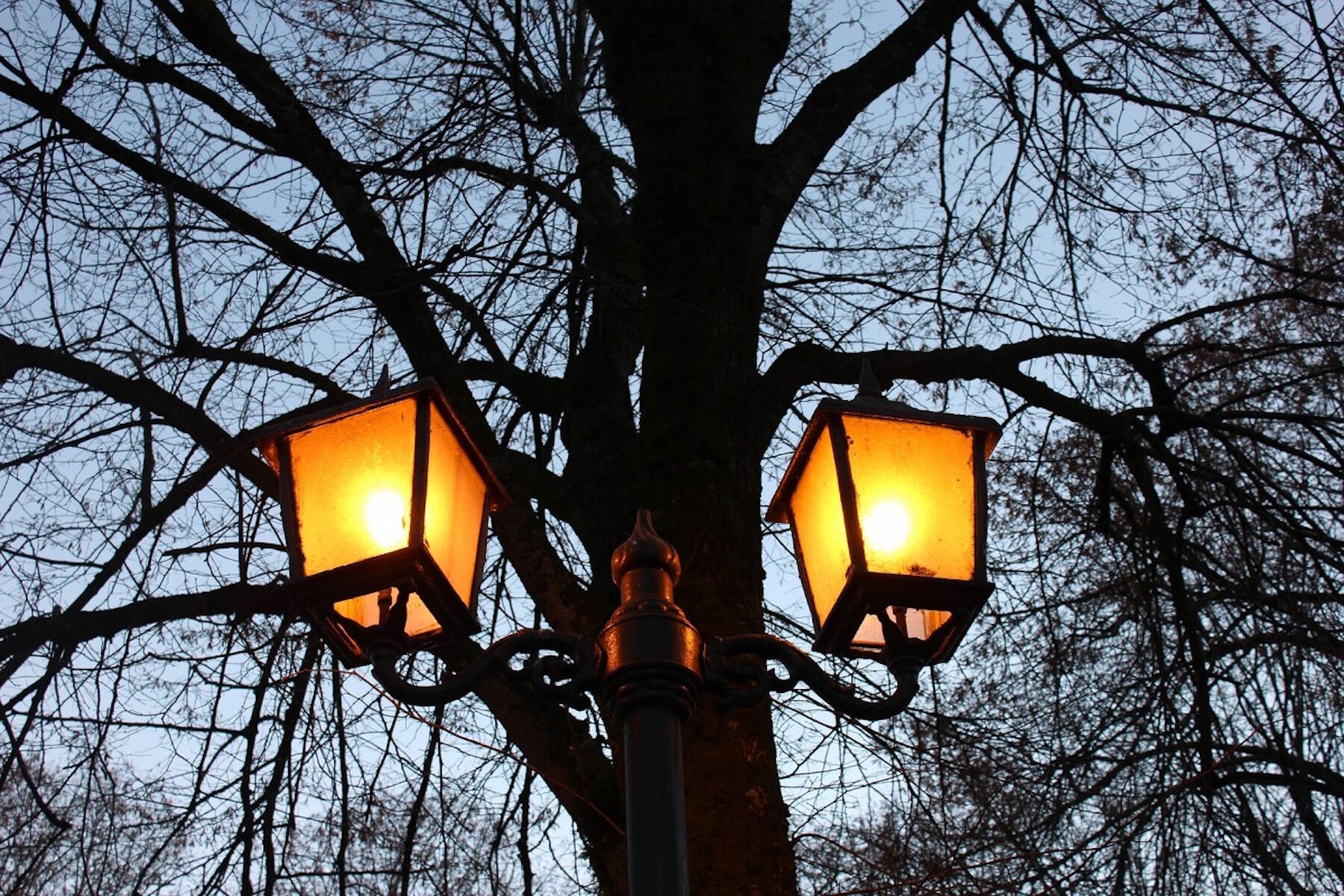 Два фонаря
