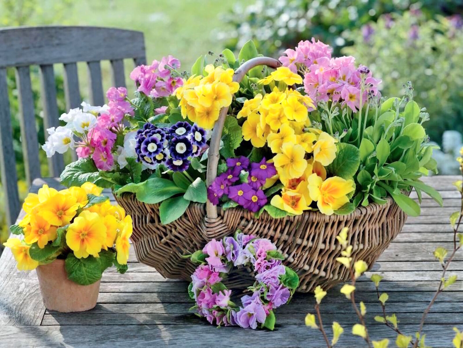 Яркие цветы в конзине