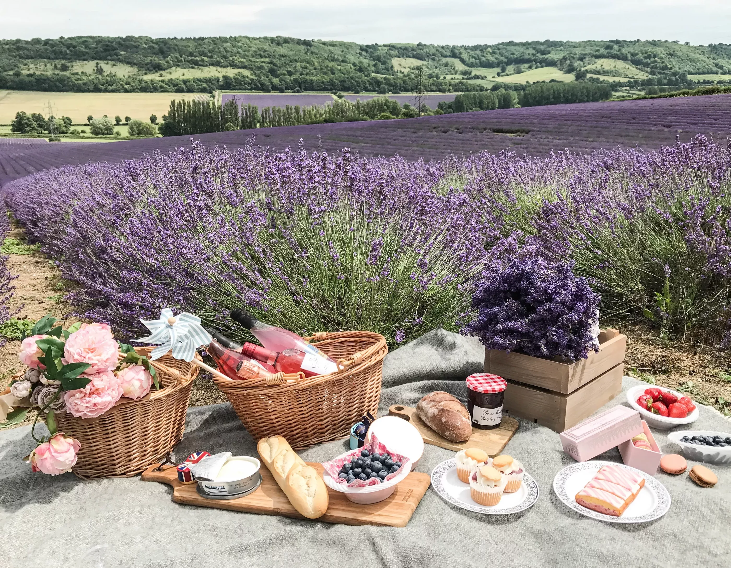 На лавандовых полях