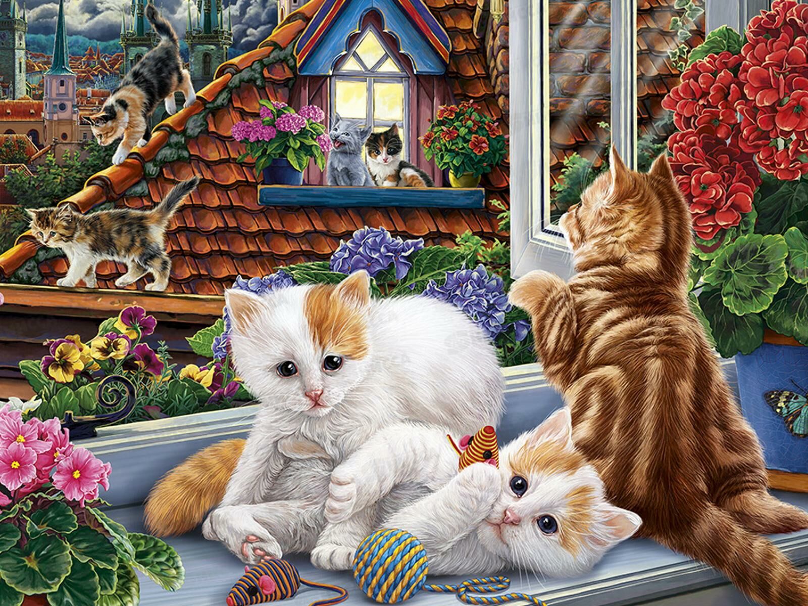 Котята и цветы на окне