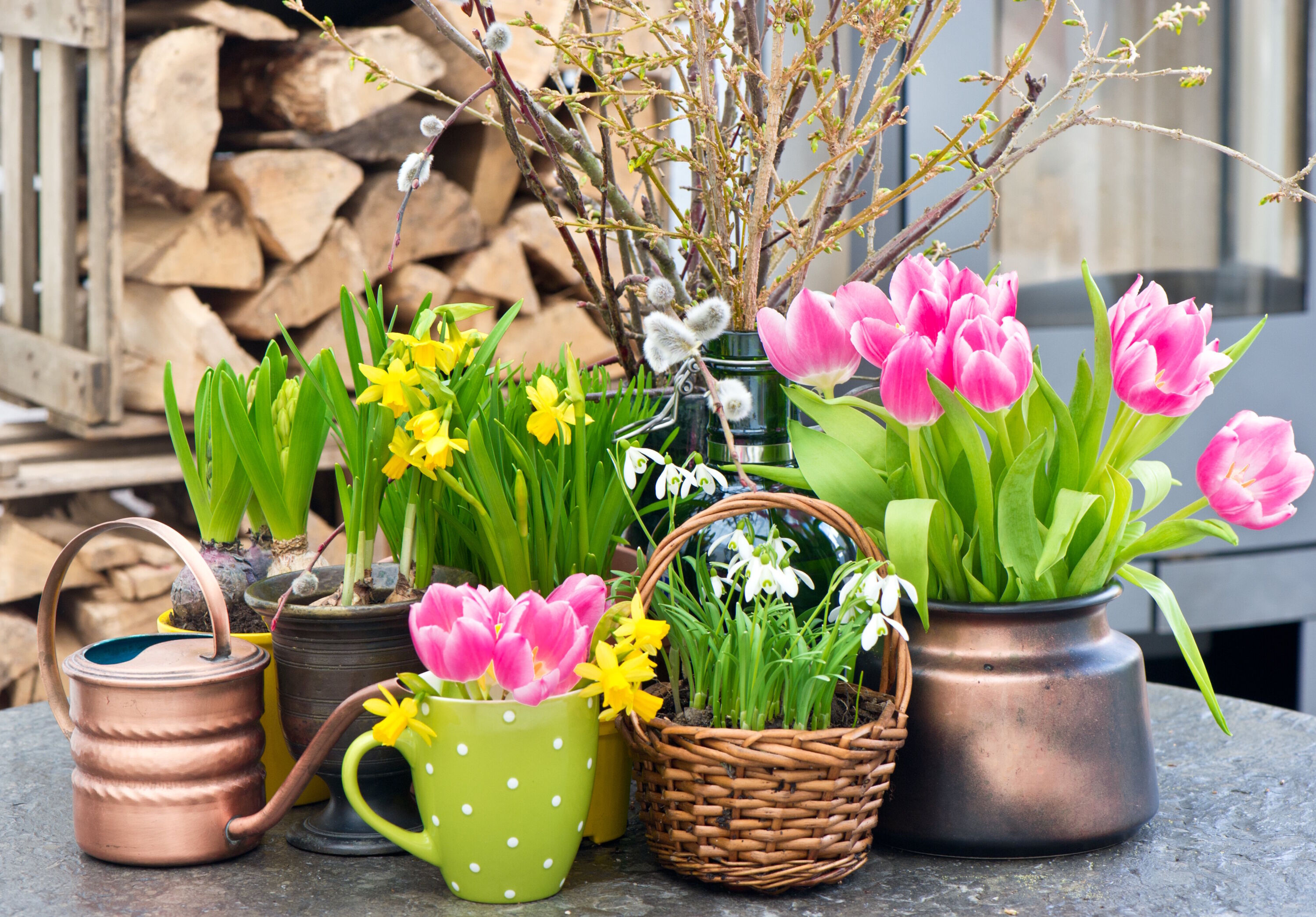 Цветы дачные