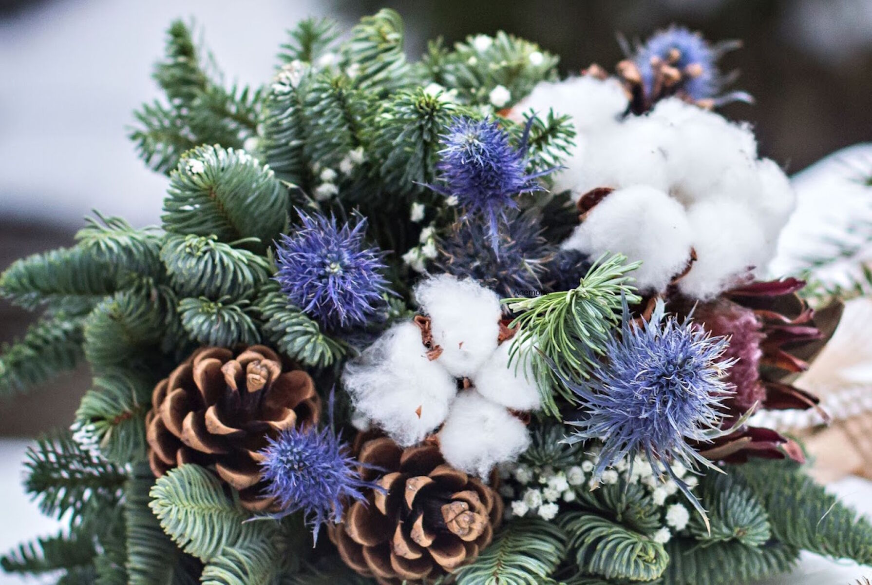 Шишки и хлопок